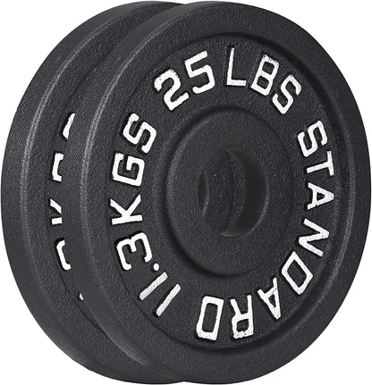 Solid Iron Olympic Weightlifting Plates, 25-Lb (Pair)